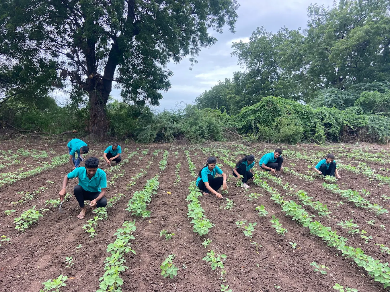 College of Agriculture Dhule